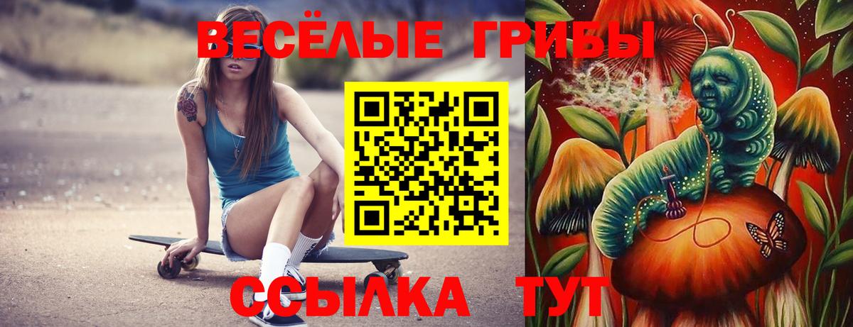 Галлюциногенные грибы ЛСД  Галлюциногенные грибы Magic Shrooms  Вход с VPN  Черногорск 
